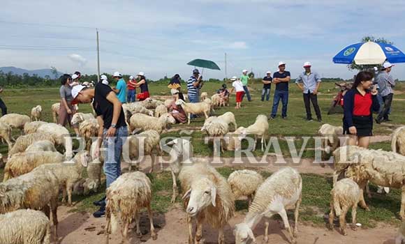 Tour Hồ Cốc