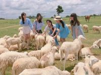 Tour Hồ Tràm 3 Ngày 2 Đêm