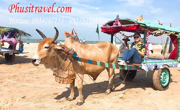 Tour Coco Beach 2 Ngày 1 Đêm