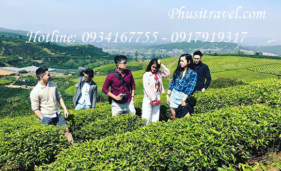 Tour Đà Lạt 2 Ngày 2 Đêm