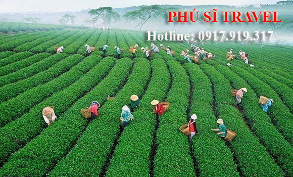 Tour Đà Lạt Mới Nhất - Làng Xì Trum