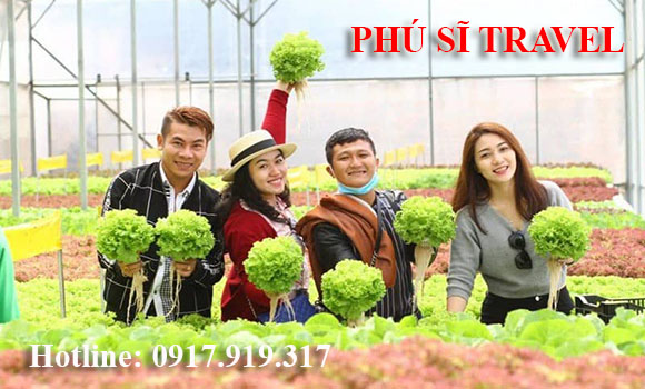 Tour Du Lịch Sài Gòn Đà Lạt 4 Ngày