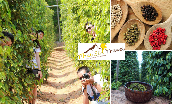 Tour-Phu-Quoc-Dao-Hon-Thom