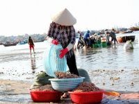 Chợ Hải Sản Giá Rẻ Trên Bãi Biển Mũi Né