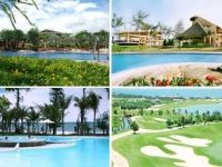 Tour Lagi Ở Mỏm Đá Chim Resort