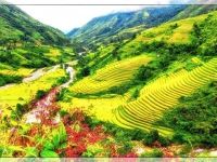 Tour Du Lịch Tây Bắc